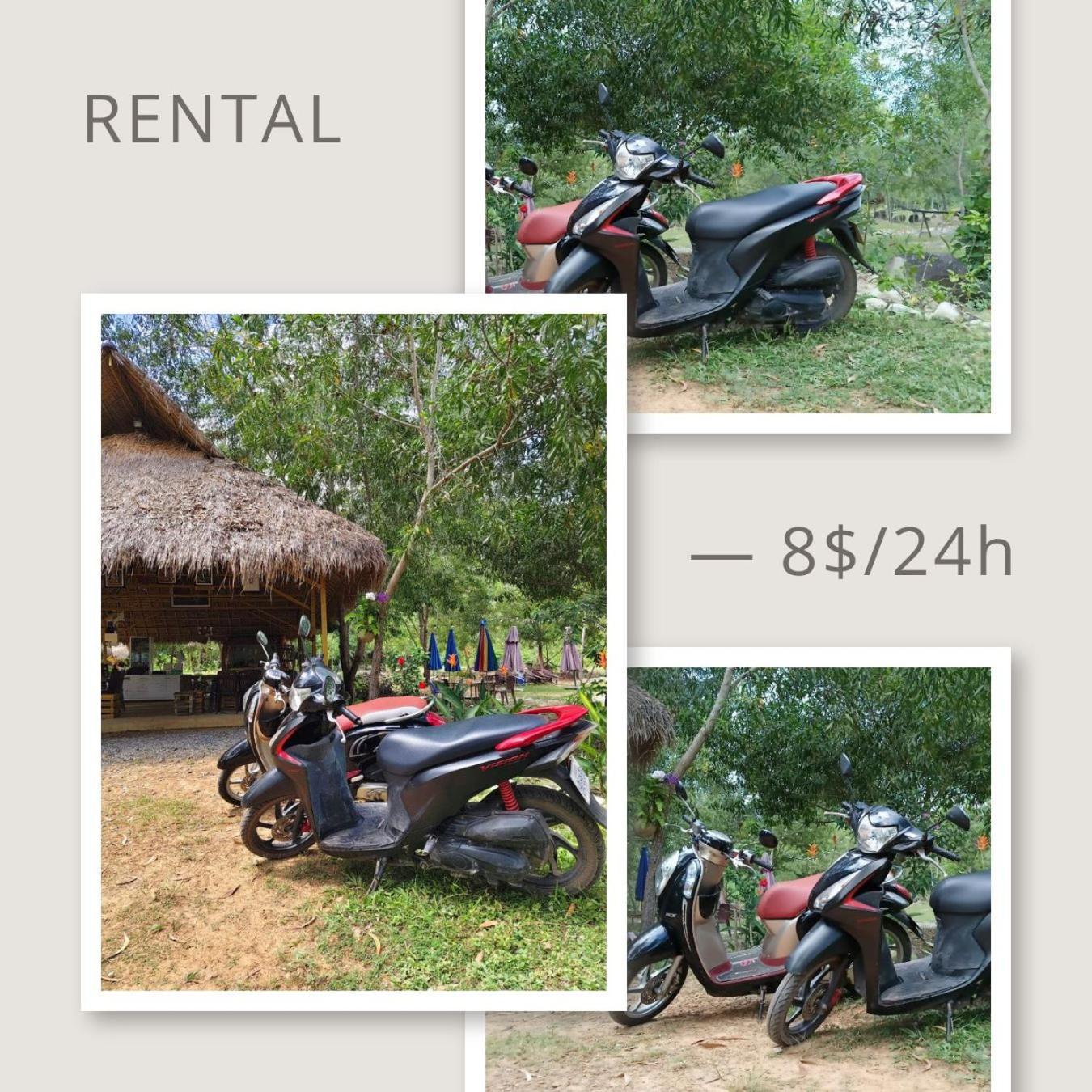 Kampot Camping - Eco Retreat Exteriör bild